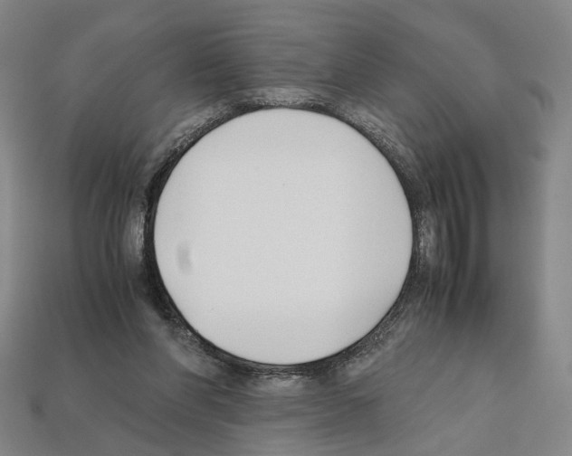 X0000112210206200909181600