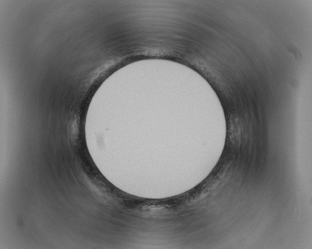 X0000112210208200909181600