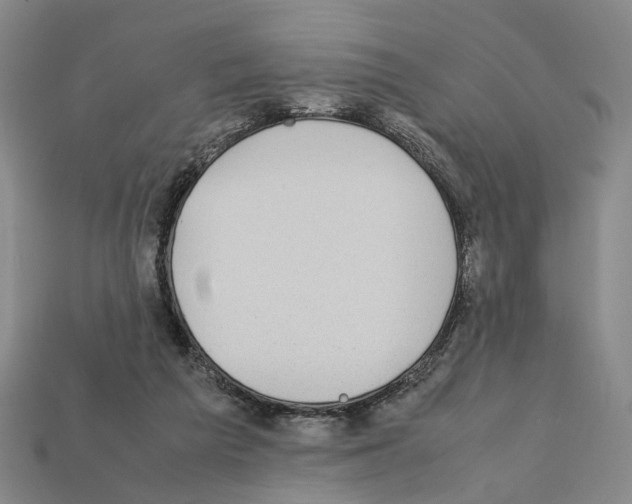 X0000112210209200909181600