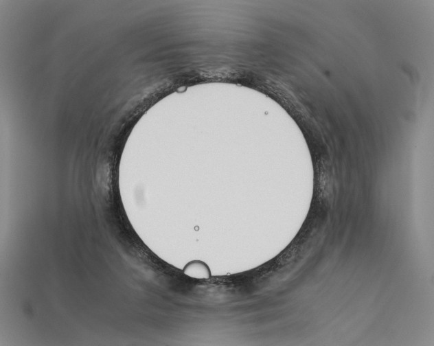 X0000112210211200909181600