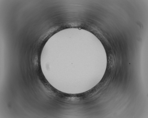 X0000112210212200909181600