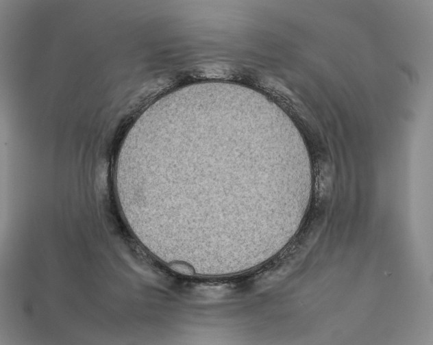 X0000112210213200909181600