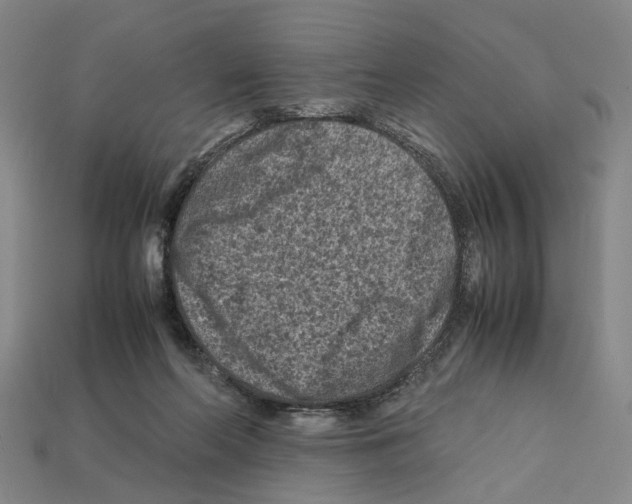 X0000112210214200909181600