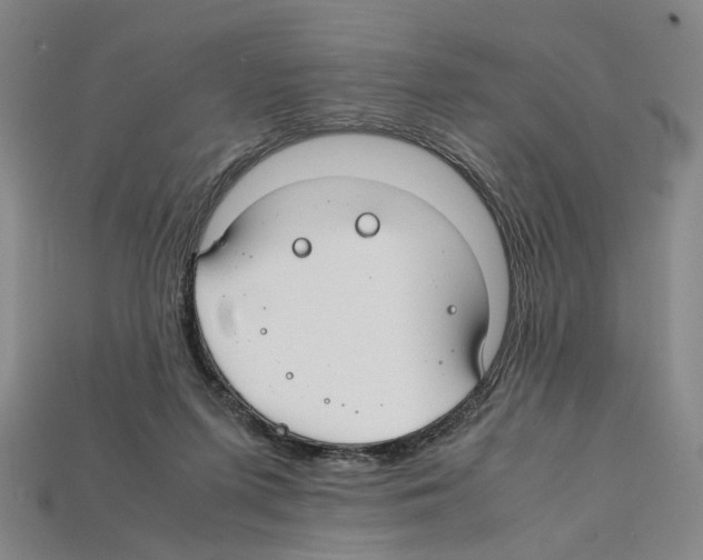 X0000112210215200909181600