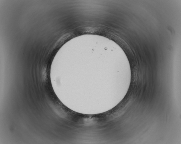 X0000112210216200909181600