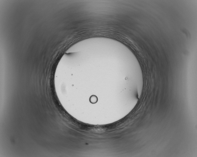 X0000112210217200909181600