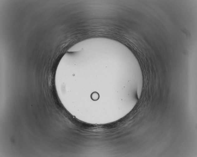 X0000112210219200909181600