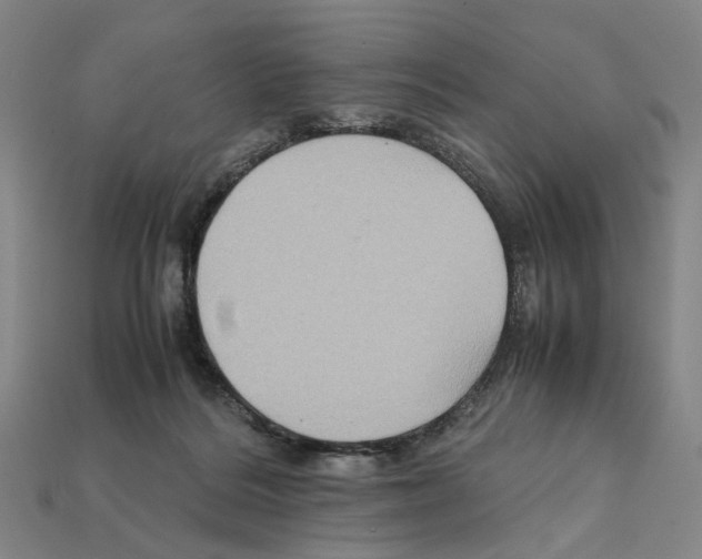 X0000112210220200909181600