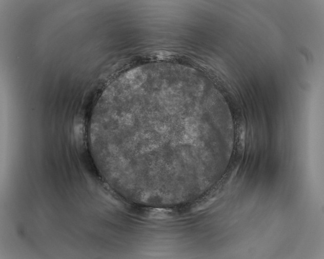 X0000112210222200909181600