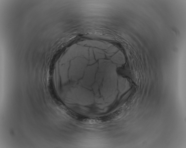 X0000112210223200909181600