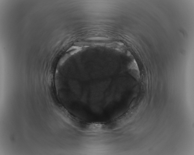 X0000112210227200909181600