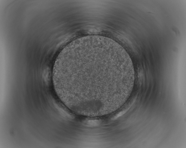 X0000112210228200909181600
