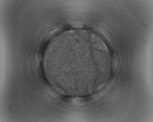 X0000112210229200909181600