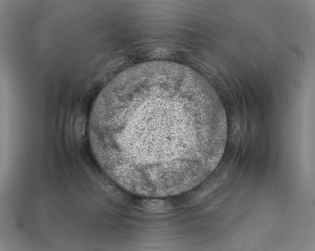 X0000112210230200909181600
