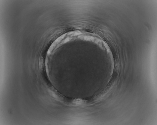 X0000112210231200909181600