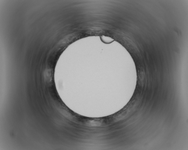 X0000112210232200909181600
