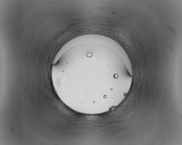 X0000112210233200909181600