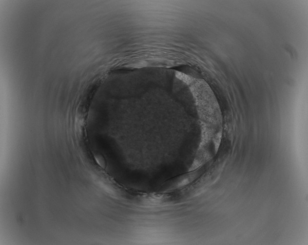 X0000112210235200909181600