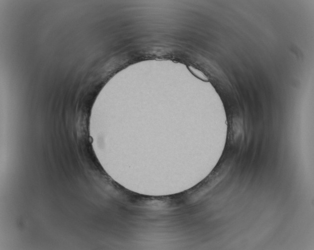 X0000112210236200909181600