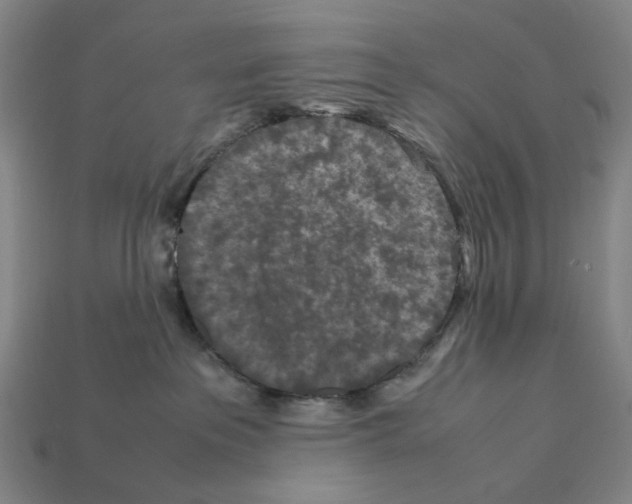 X0000112210237200909181600