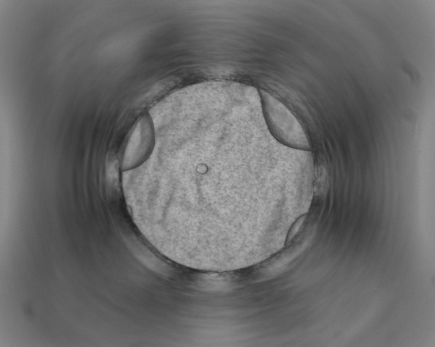 X0000112210238200909181600