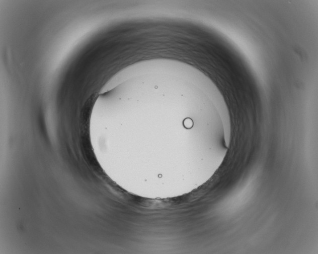 X0000112210239200909181600