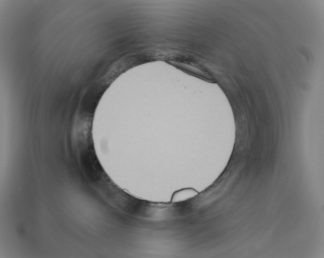 X0000112210240200909181600