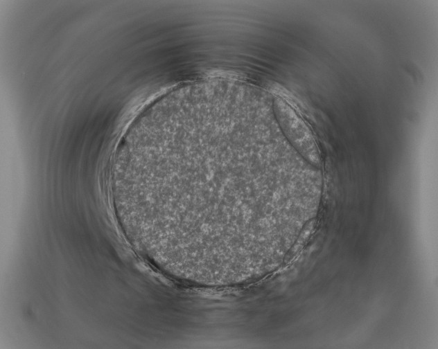 X0000112210241200909181559