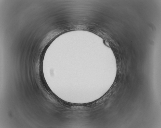 X0000112210242200909181559