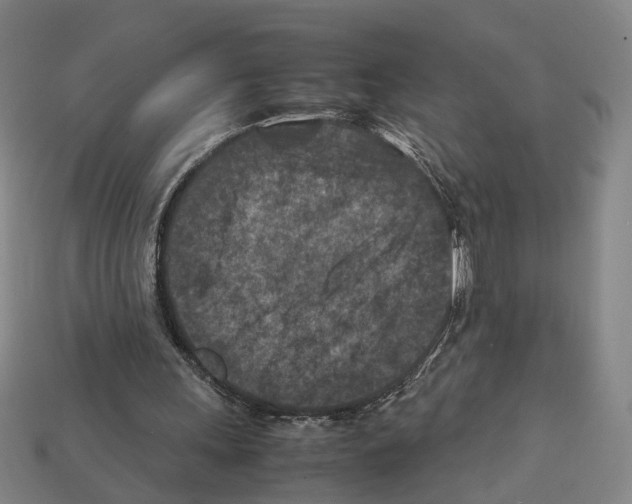 X0000112210243200909181559