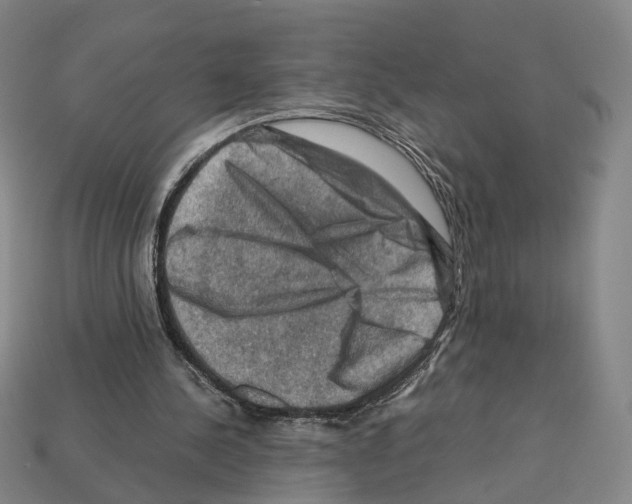 X0000112210244200909181559