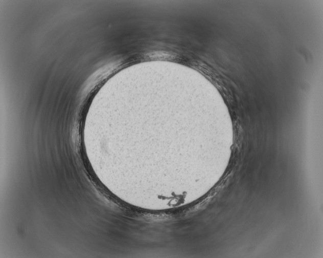 X0000112210245200909181559