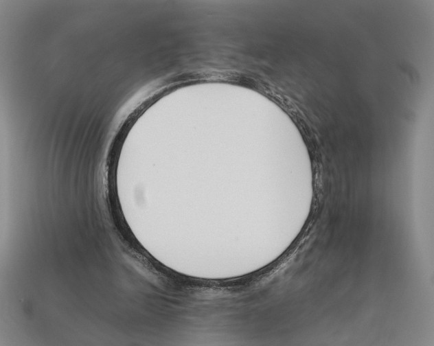 X0000112210246200909181559
