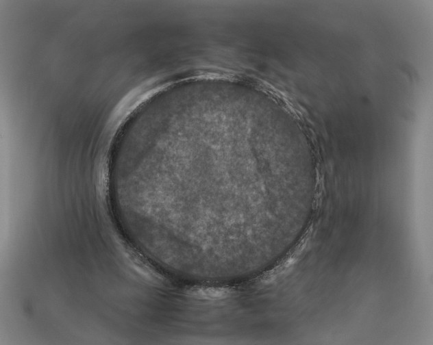 X0000112210247200909181559