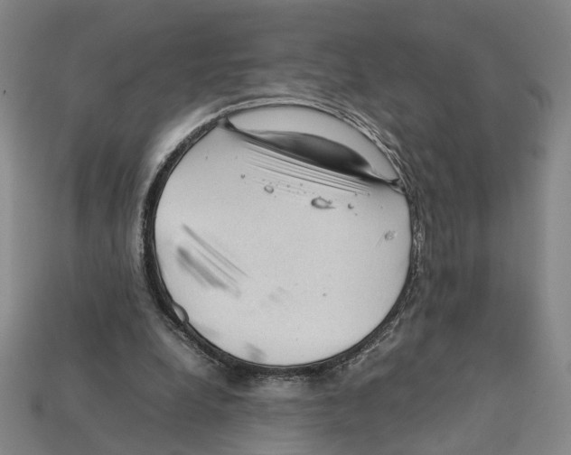 X0000112210248200909181559