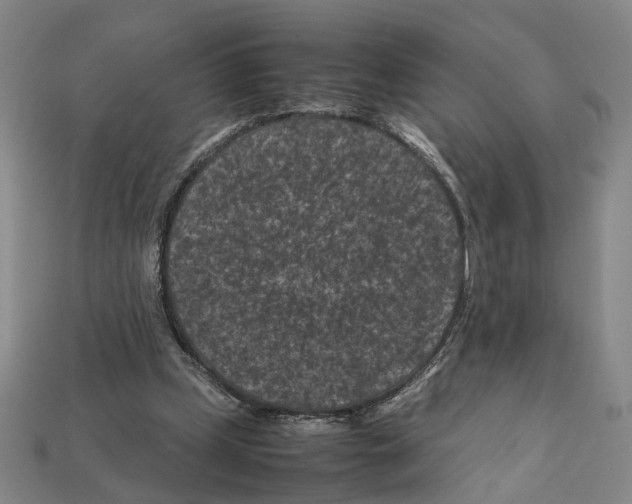 X0000112210249200909181559