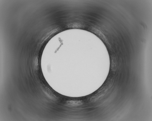 X0000112210251200909181559