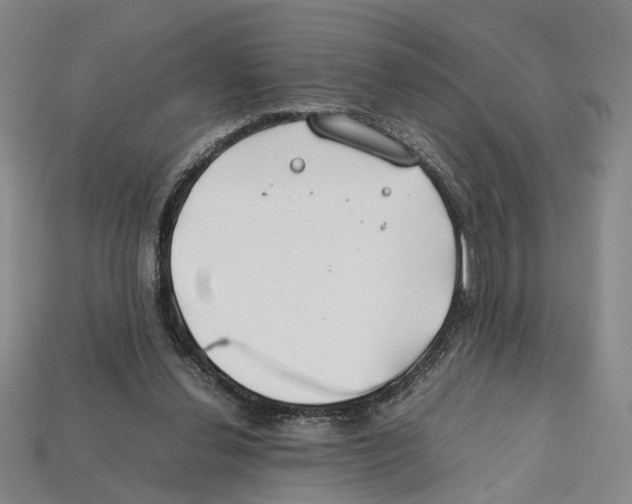 X0000112210252200909181559