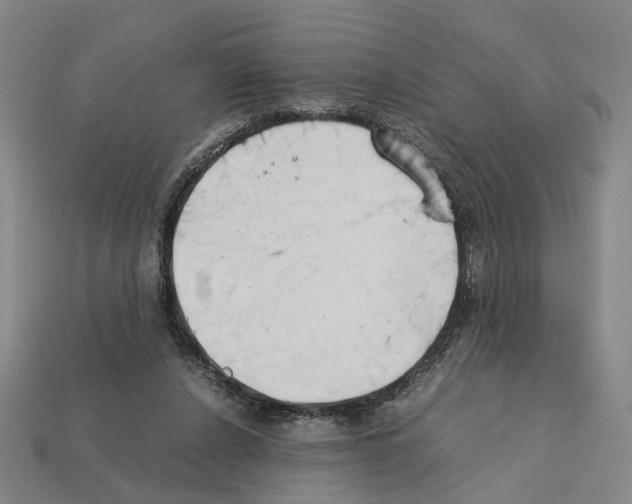 X0000112210256200909181559
