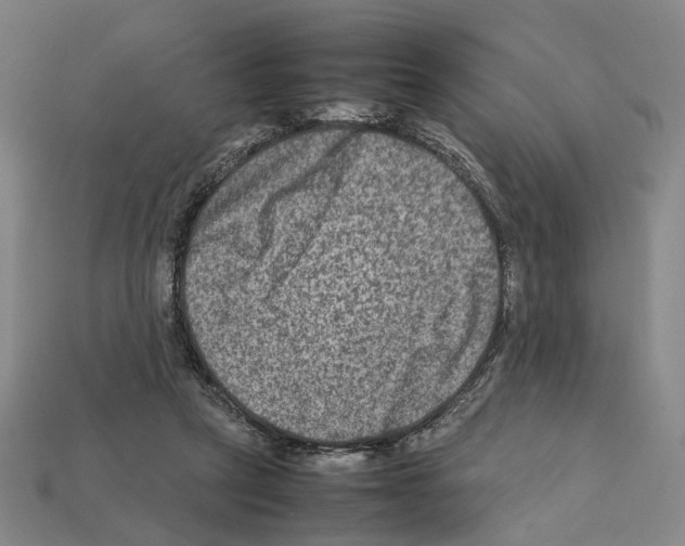 X0000112210257200909181559