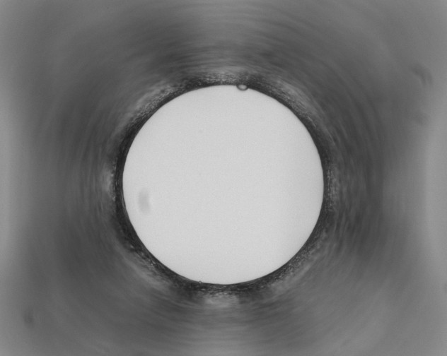 X0000112210258200909181559