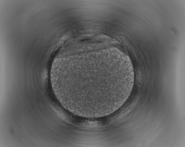 X0000112210260200909181559