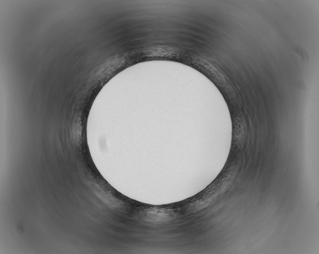 X0000112210261200909181559