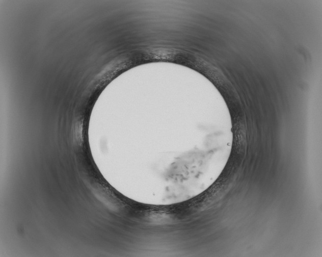 X0000112210262200909181559