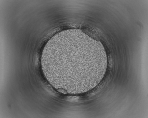 X0000112210266200909181600