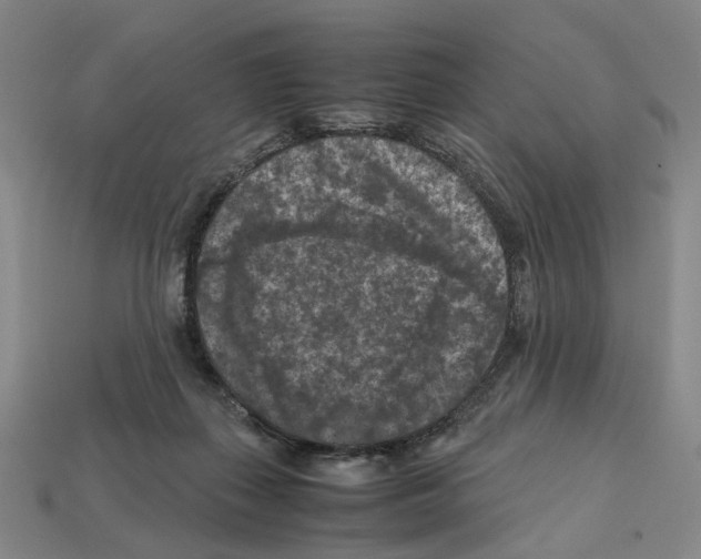 X0000112210267200909181600