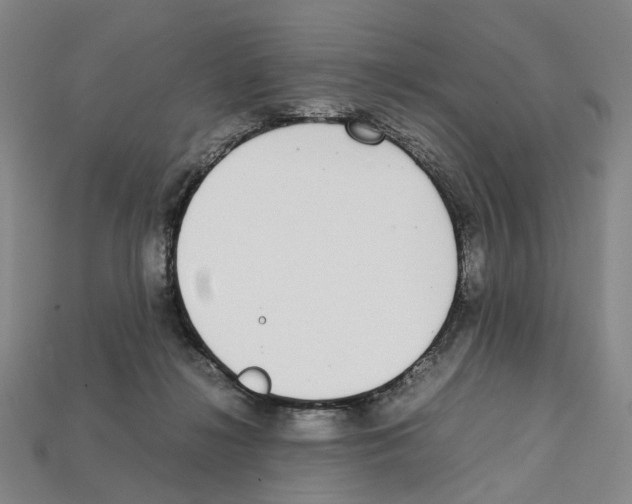 X0000112210268200909181600