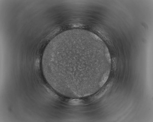 X0000112210269200909181600
