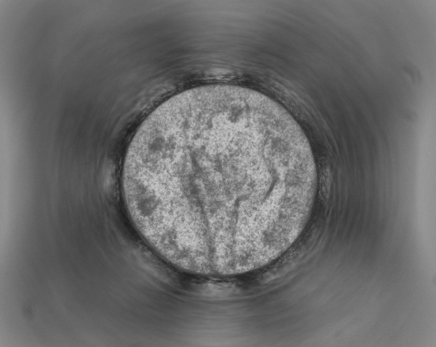 X0000112210270200909181600