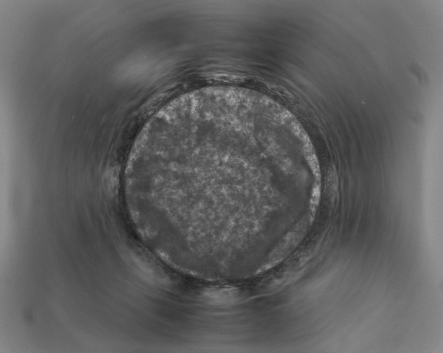 X0000112210271200909181600